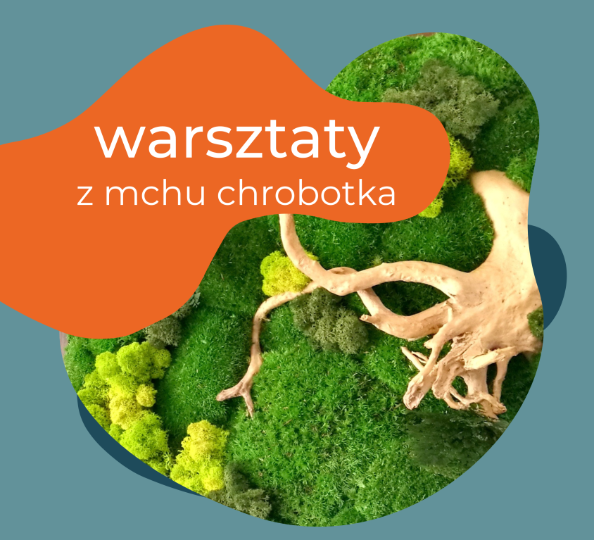 Warsztaty z Mchu Chrobotka